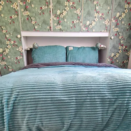 De Driesprong Nr 84 Domek alpejski Warmond